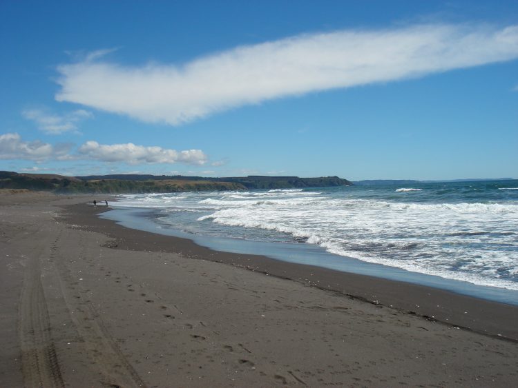 Informe científico advierte que la costa chilena requiere de urgente protección
