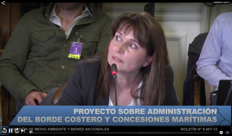 Representantes de Costa Chile y Observatorio de la Costa serán parte de mesa técnica para discutir “Ley de  Borde Costero” en el Senado