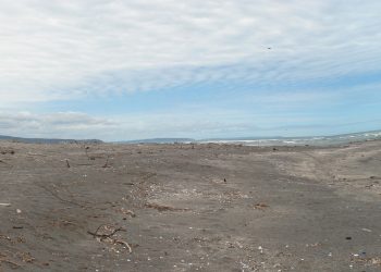 Representantes de Costa Chile y Observatorio de la Costa serán parte de mesa técnica para discutir “Ley de  Borde Costero” en el Senado