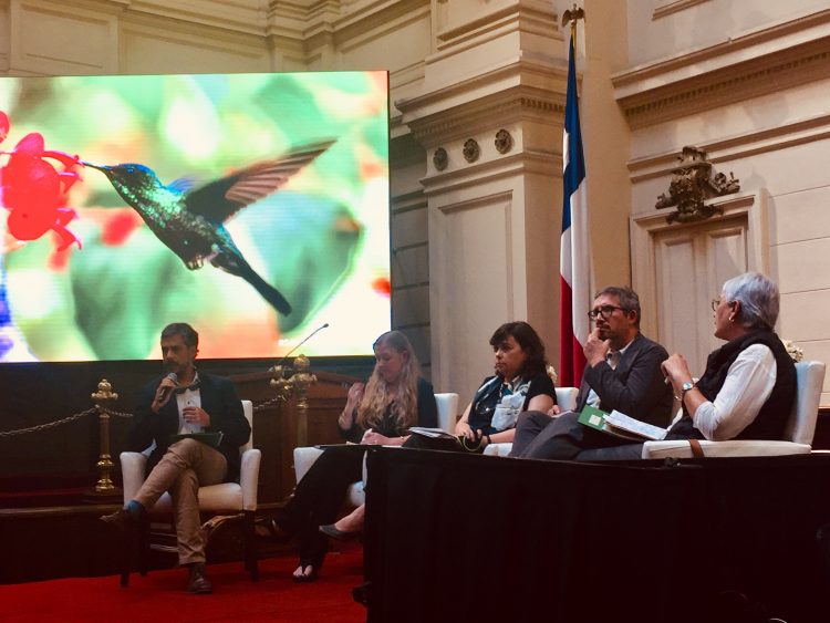 CIGIDEN participa de diálogo colectivo sobre cambio climático y biodiversidad desde la perspectiva de género