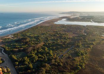 Rio Maipo wetland: “Front Line” of protection against extreme waves, storms and tsunamis on the coast