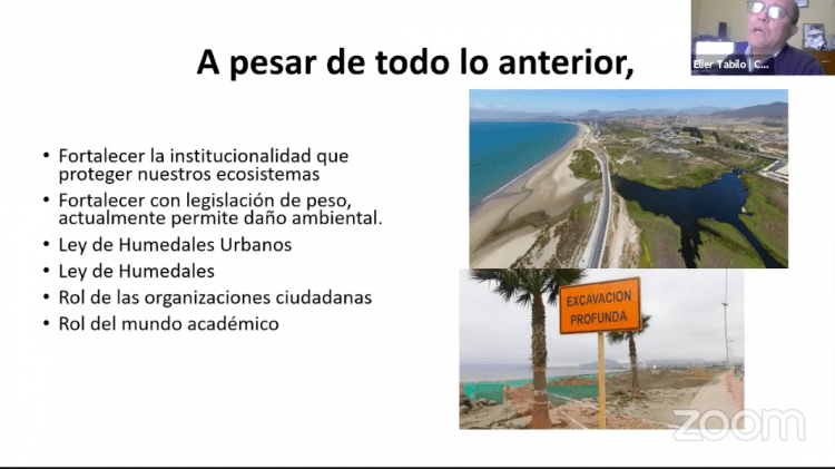 Expertos alertan sobre avanzada degradación en los ecosistemas costeros de la Región de Coquimbo 