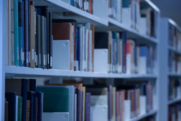 Investigadora CIGIDEN es reconocida en ranking que destaca las mejores publicaciones académicas del mundo