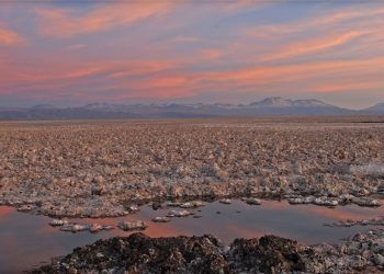 Científicos denuncian daño irreparable en los salares del norte de Chile