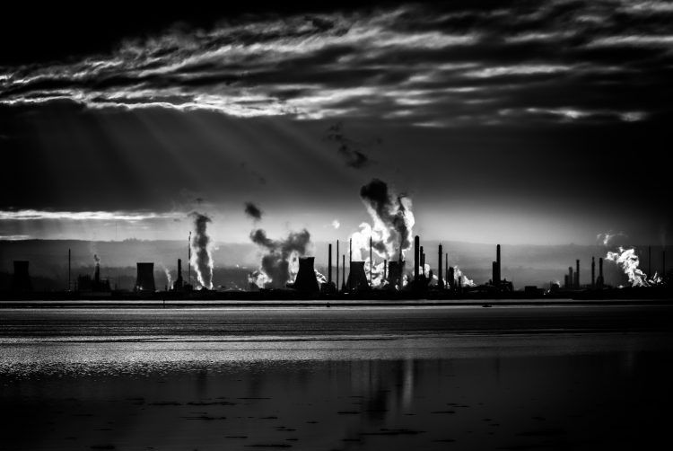 Para enfrentar la crisis climática se necesita la participación efectiva de los pueblos indígenas, ONGs, comunidades locales y academia