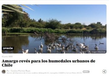 El Mostrador | Amargo revés para los humedales urbanos de Chile
