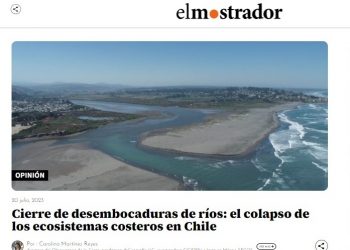 El Mostrador | Cierre de desembocaduras de ríos: el colapso de los ecosistemas costeros en Chile