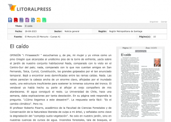 Litoralpress | El caído