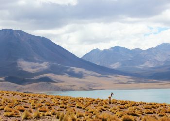 Nueva Constitución y cambio climático: el insuficiente artículo 212