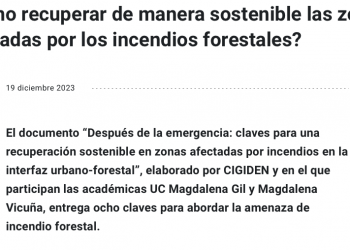Noticias UC | ¿Cómo recuperar de manera sostenible las zonas afectadas por los incendios forestales?