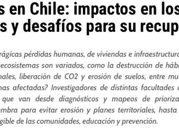Ad Prensa | Incendios en Chile: impactos en los territorios y desafíos para su recuperación