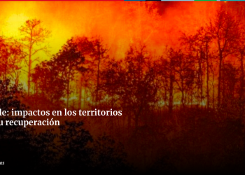 Ciencia en Chile | Incendios en Chile: impactos en los territorios y desafíos para su recuperación