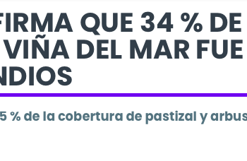 Diario Usach | ESTUDIO CONFIRMA QUE 34 % DE LA SUPERFICIE DE VIÑA DEL MAR FUE AFECTADA POR LOS INCENDIOS