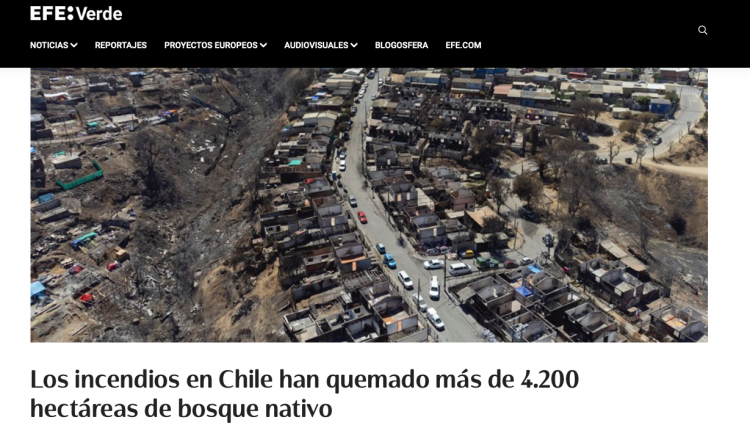 EFE Verde | Los incendios en Chile han quemado más de 4.200 hectáreas de bosque nativo