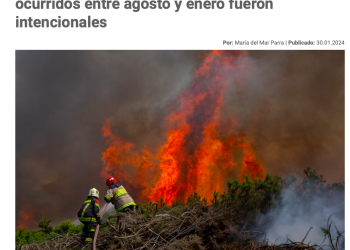 El Desconcierto | Conaf revela que 30% de los incendios ocurridos entre agosto y enero fueron intencionales