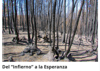 Induambiente | Del «Infierno» a la Esperanza