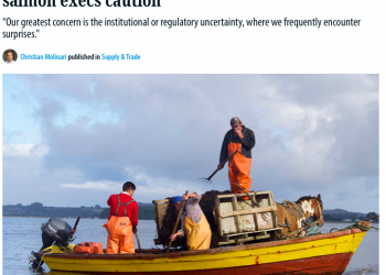 Seafood Source | Chile’s Lafkenche Law requires urgent changes, salmon execs caution