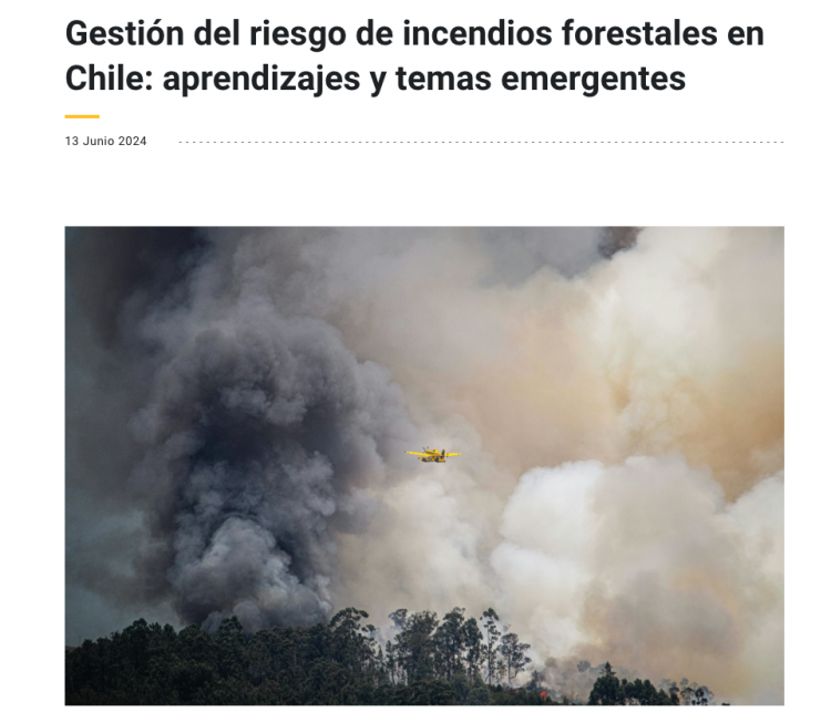 Políticas Públicas | Gestión del riesgo de incendios forestales en Chile: aprendizajes y temas emergentes