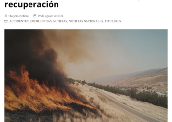 Ovejero Noticias | CIGIDEN presenta estudio sobre impacto de incendios forestales y su recuperación