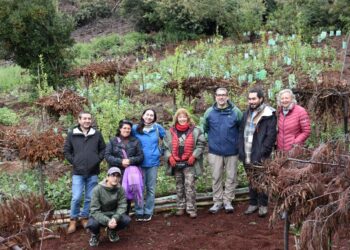 La importancia de la restauración del paisaje post-incendios a través del trabajo comunitario