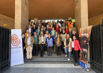 Avance de investigaciones interdisciplinarias sobre olas de calor e incendios son expuestas en la región del Biobío