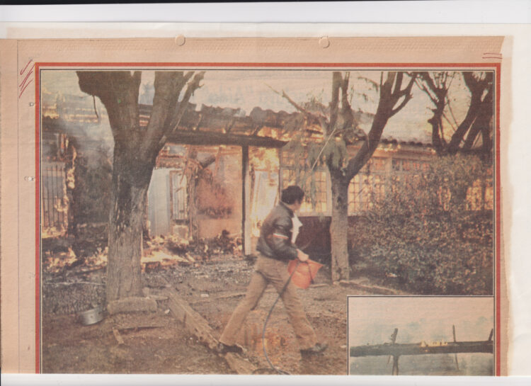 Después del incendio: reflexiones artísticas sobre los incendios en Chile se exhiben en la galería de arte de SENAPRED