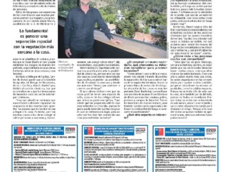 LUN | Australiano experto en planificación urbana dice cómo disminuir el riesgo de incendio