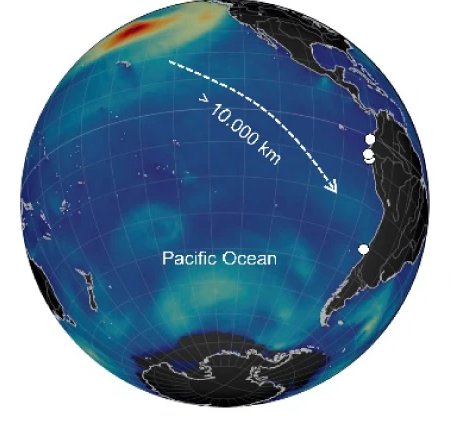 Estudio CIGIDEN revela que las marejadas de diciembre de 2024 fueron las más extremas en 40 años