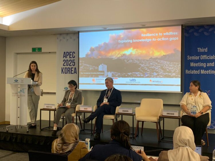 Investigadora CIGIDEN viajó hasta Corea del Sur para presentar sobre cómo Chile se recupera post-incendios