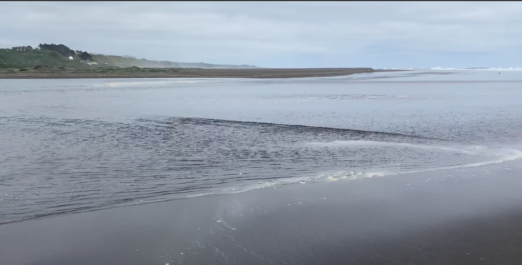 Investigadores de CIGIDEN observan en Laguna Cáhuil por primera vez un “Gas de Solitones” en la naturaleza